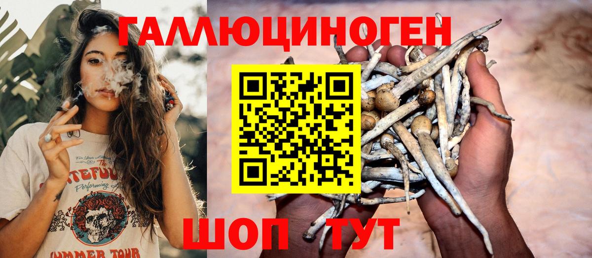Псилоцибиновые грибы MAGIC MUSHROOMS Владивосток